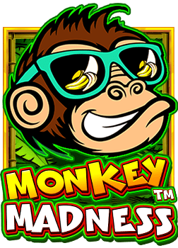 สนุกกับสมาชิก ใหม่ ฝาก 100 พร้อมลองเกมสล็อต